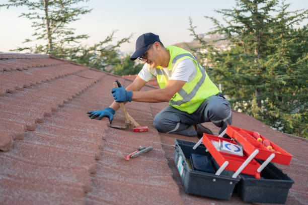 Best Sheet Metal Roofing  in Cleary, MS